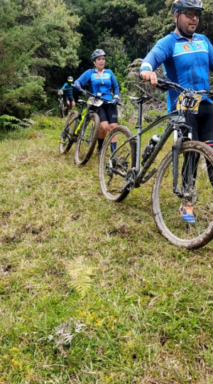 Captura de pantalla 2025-05-13 145003