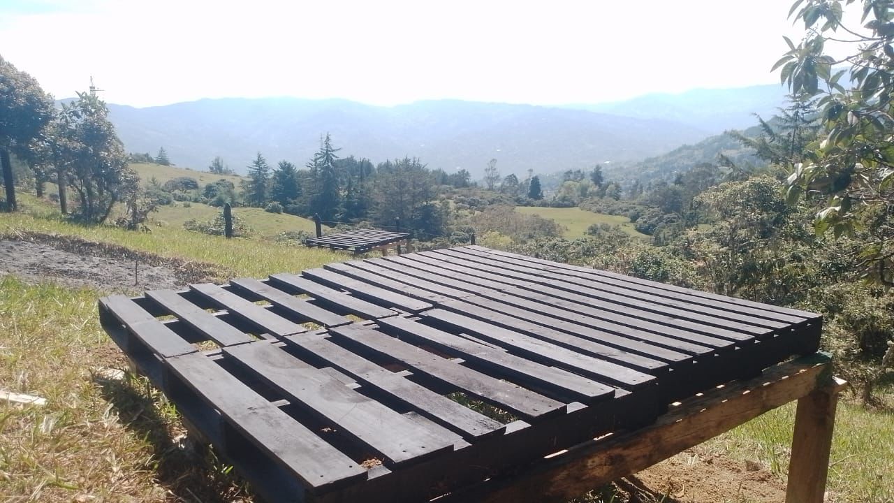 WhatsApp Image 2025-04-22 at 13.18.12