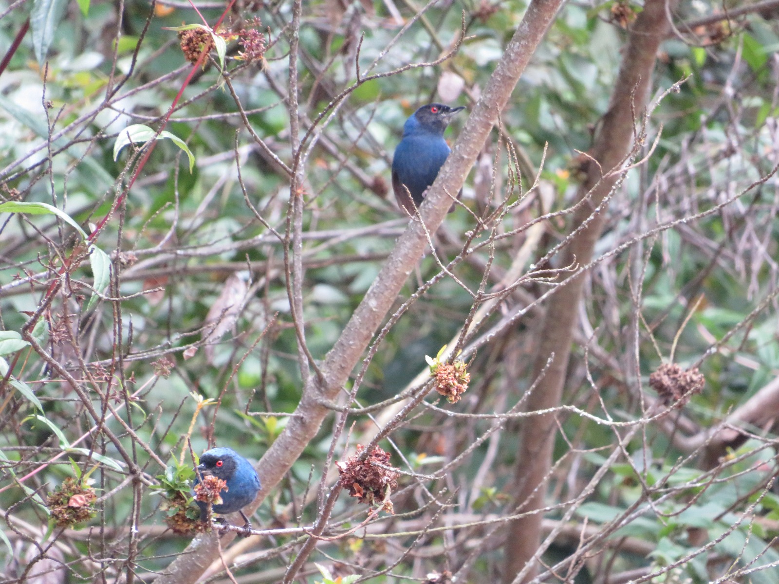 WhatsApp Image 2025-05-12 at 21.49.00